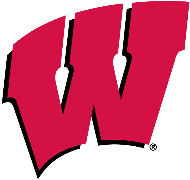 Wisconsin Badgers decals